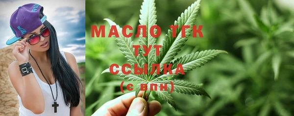 стаф Вяземский