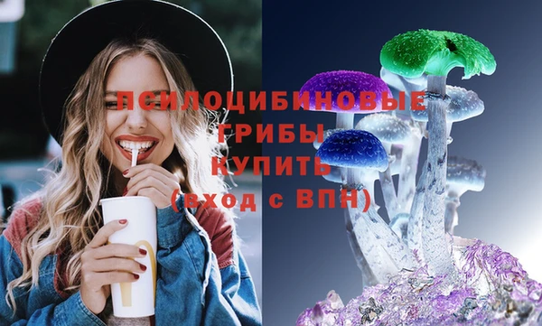 сатива Вязьма