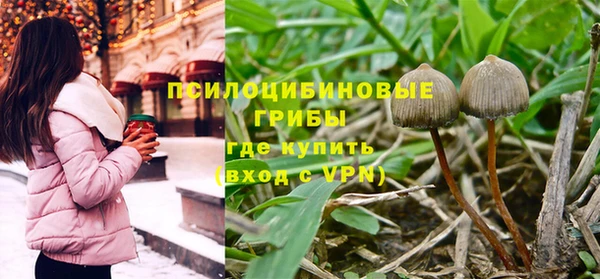 круглые Няндома