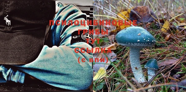 2c-b Нягань