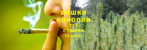 2c-b Нягань