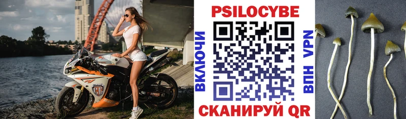 Псилоцибиновые грибы Psilocybe  купить закладку  Калтан 
